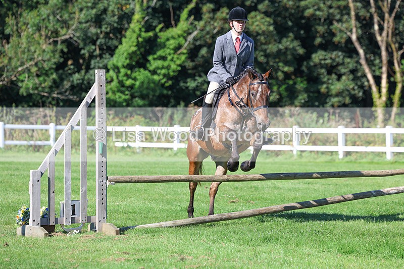3E7A7785 - Class 2: Open Working Hunter pony