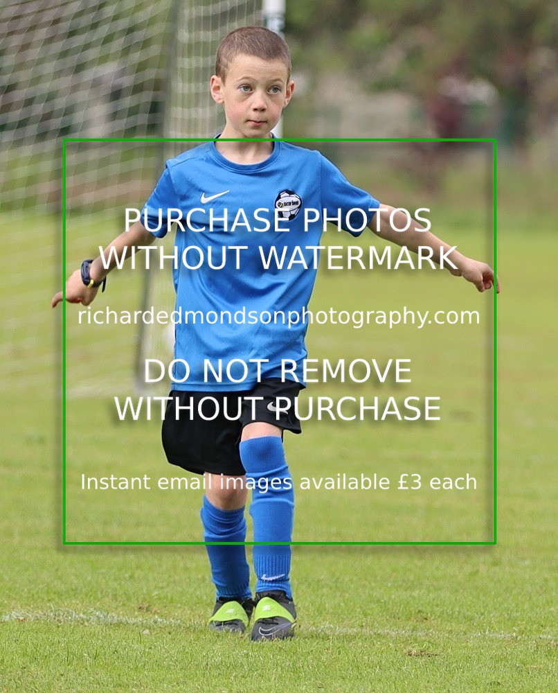 IMG_4001 - Soccer Bees Under 7 and Under 8