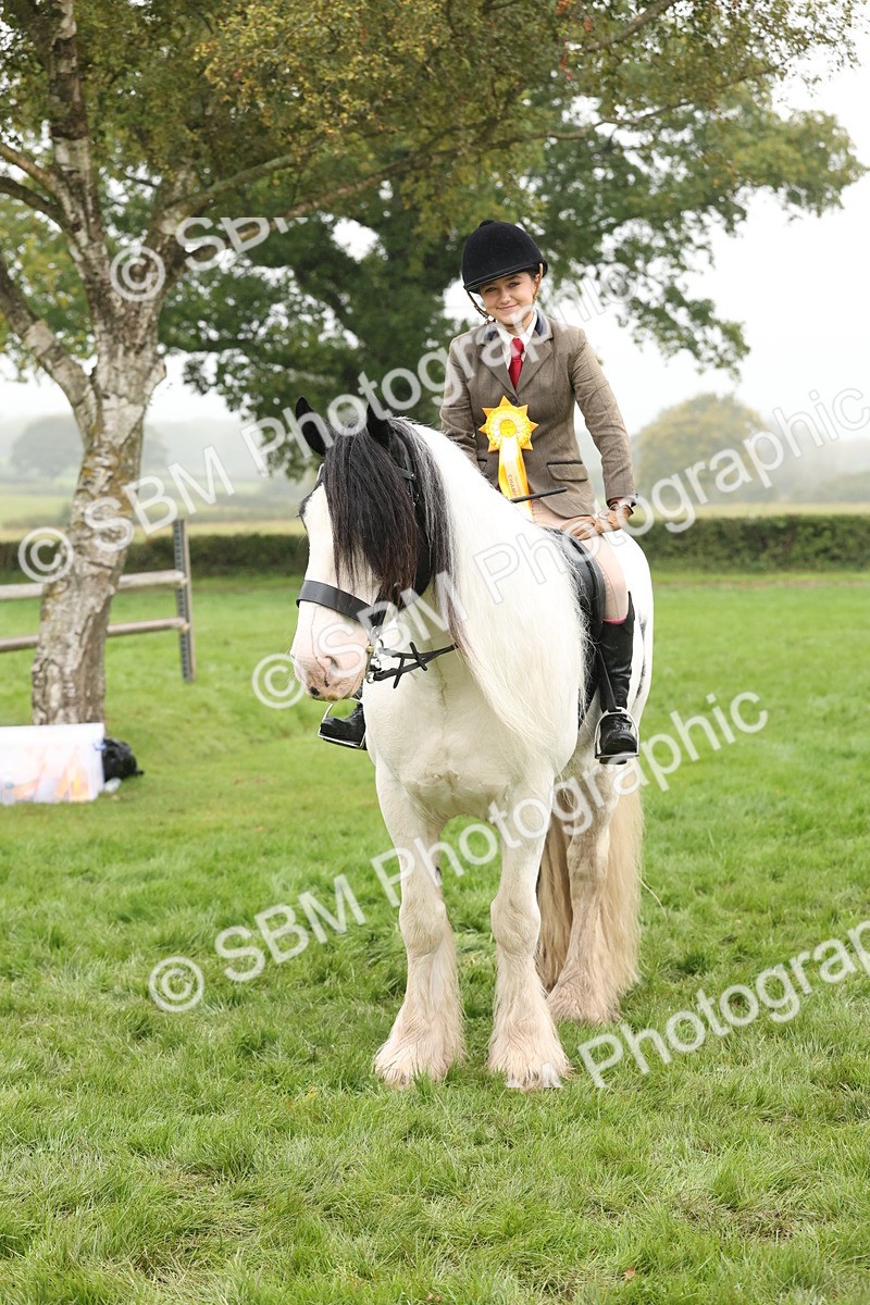 SBM_72865 - S70 - Traditional Cob Ridden