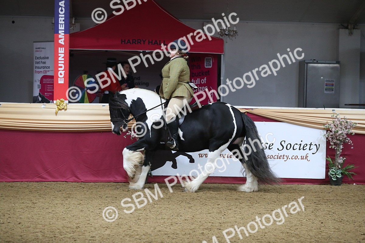 SBM_10431 - Class 102 Equitation (best rider) Adult