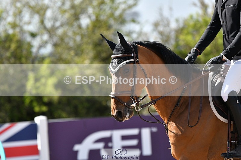 240421A-152304-15217 - Cls 32, YH 6yr 1.20m