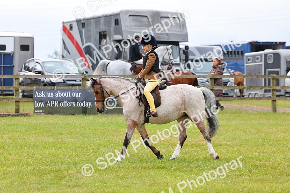 SBM_08592 - Class 42-43 - LIHS BSPS Heritage Working Sports Pony