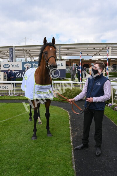 yr12052021r3-47 - Race 3 2.40pm Duke of York Clipper Logistics Stakes