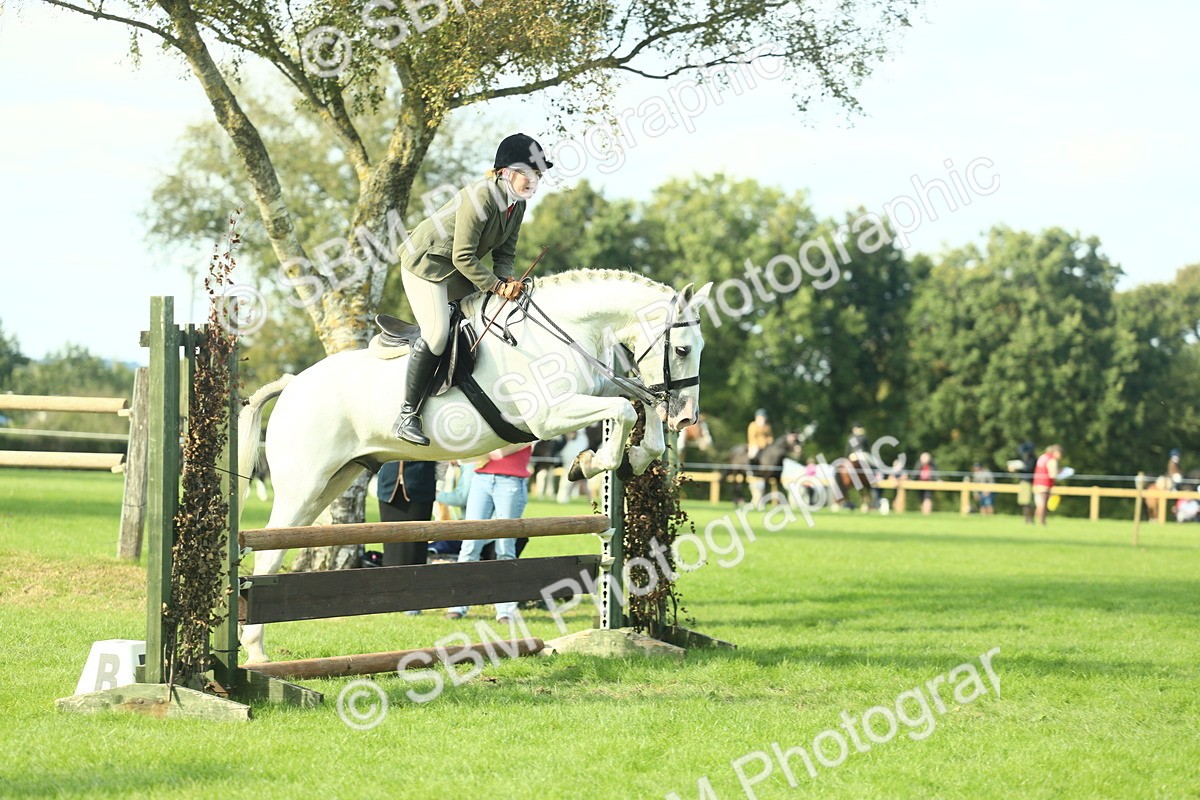 SBM_50554 - S33 - Working Hunter & Working Show Horse