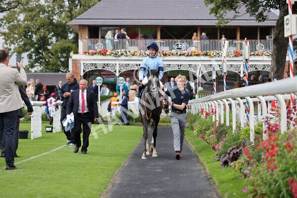 yr19082021r5-32 - Race 5 4.10pm OR8wellness ebfstallions Nursery Handicap