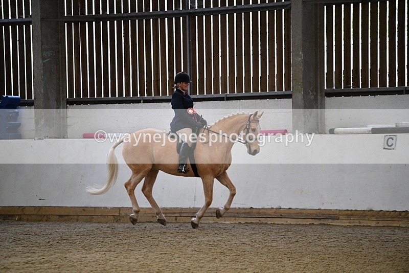 WJ5_6458 - Class 9 Ridden Veteran