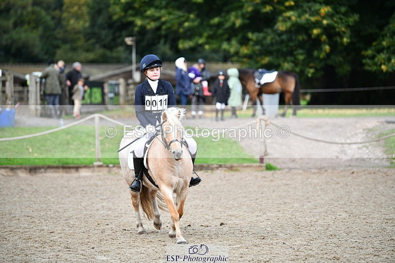 251004A-101302-00397 - Classes 1-2-3 40cm