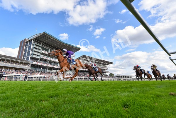 230824-Race 6-Angelo Buonarroti-4373 - Race 6 4.45pm British Stallion Studs EBF Convivial Maiden Stakes