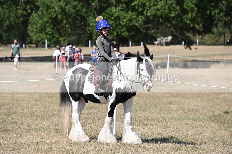 WJ6_9115 - Championship Classes 33-38