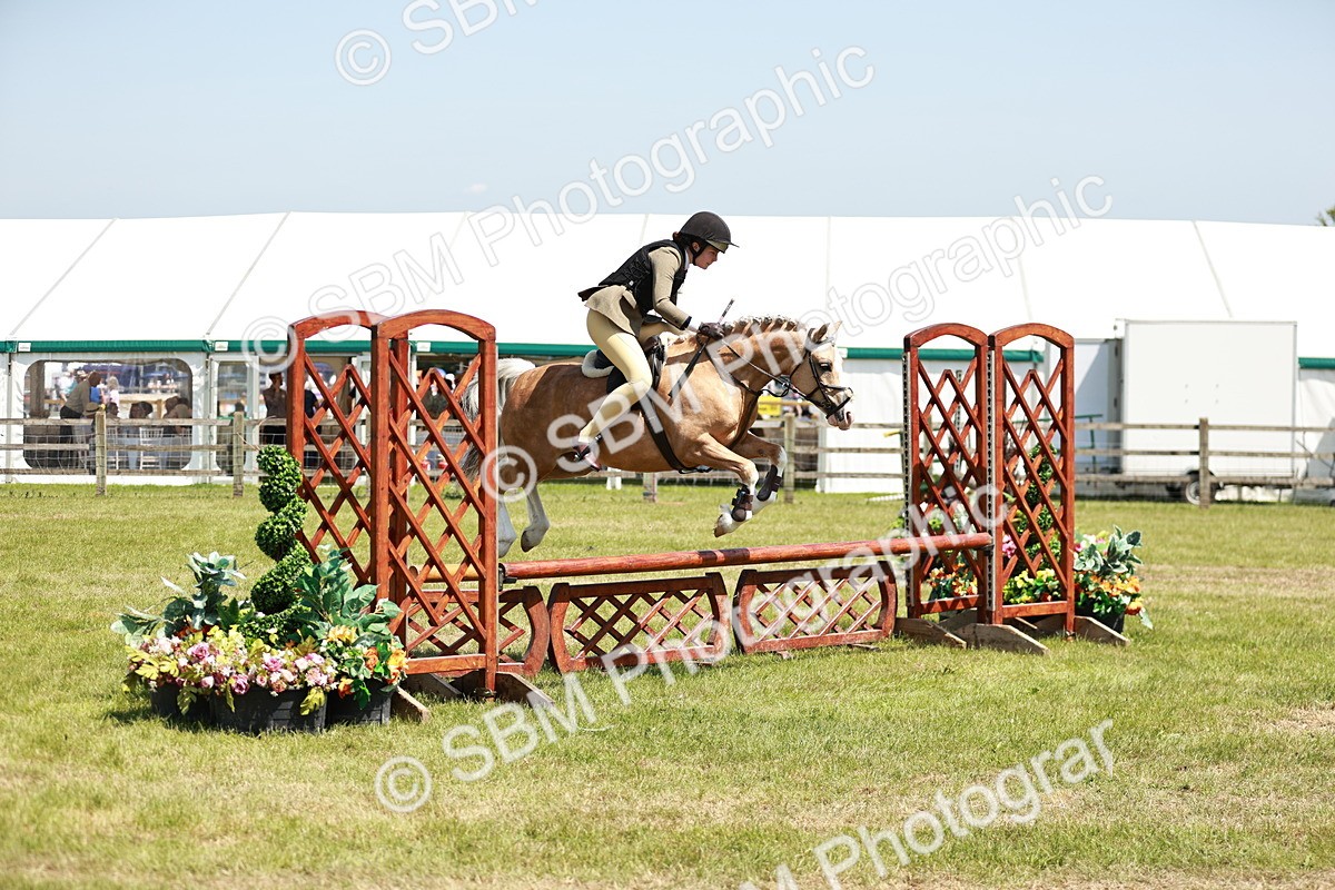 SBM_15664 - Class 108-109 - BSPS LIHS Open Gradle & Nursery Stakes