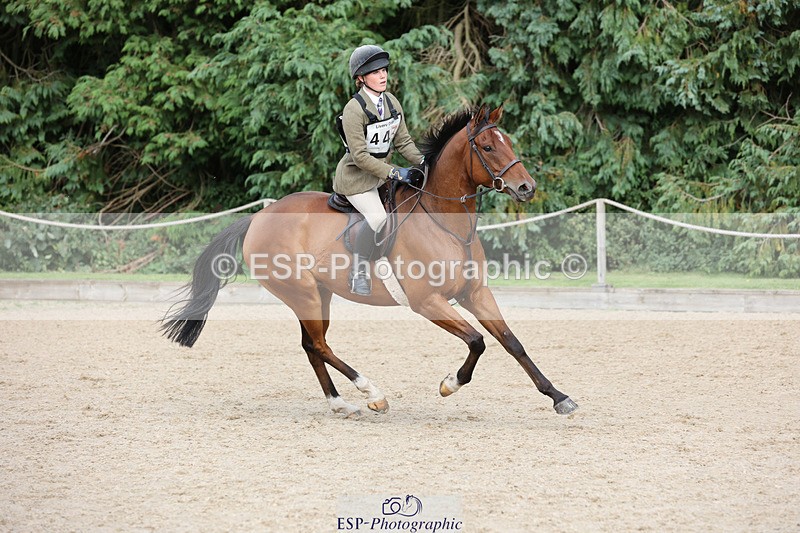 240823X-161402-19598 - 70cm Single Phase All