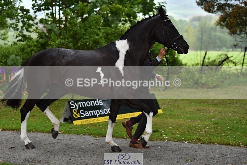240522-151410-00191 - 377-HONEYBROOK_EXTRA_SPECIAL-Tom_Rowland
