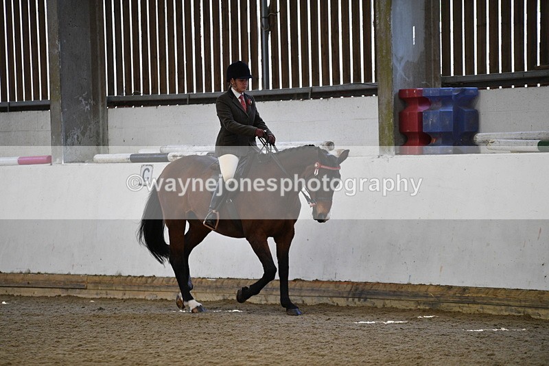 WJ5_5949 - Class 9 Ridden Veteran