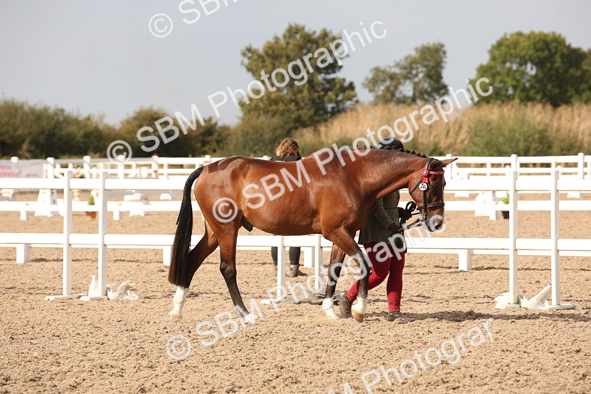 SBM_08127 - Class 27 - IH Competition Horse-Pony