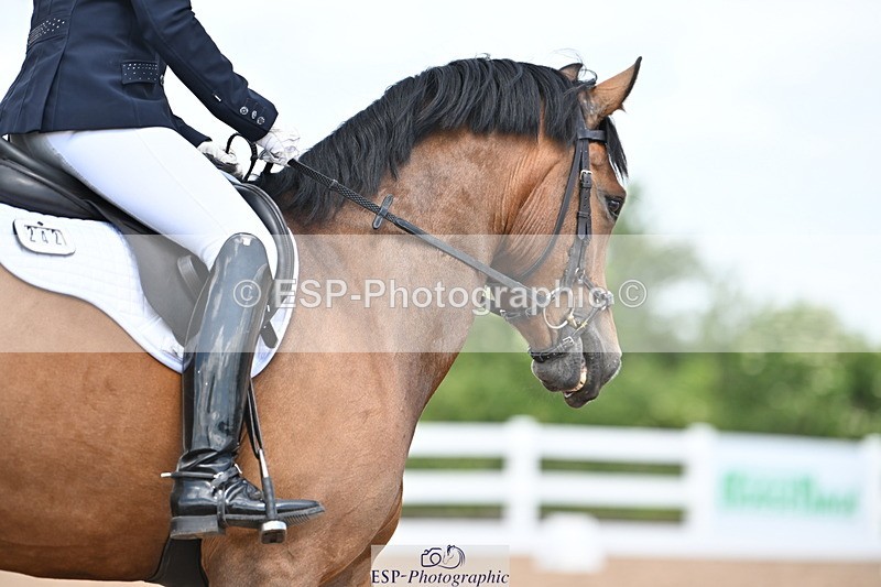 240621A-112839-01977 - Cls 4 BD Novice 22