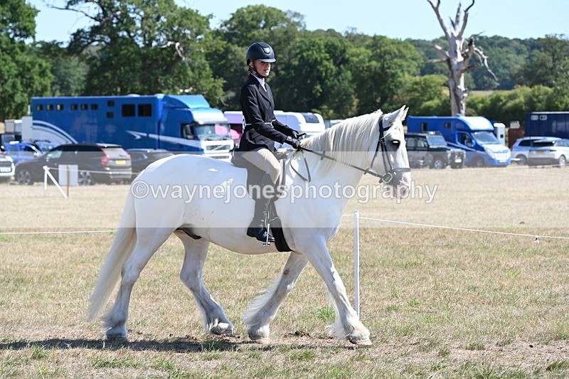 WJ6_8262 - Class 37a Best Loan Pony Ridden