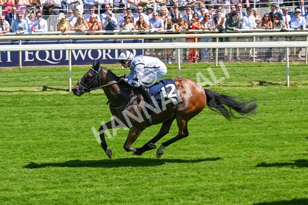 110725-Race 1-Obelix-4084 - Race 1 2.10pm William Hill Extra Place Races Daily Handicap