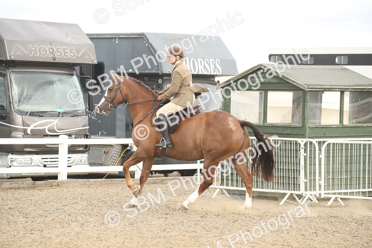 SBM_17738 - Class 508a - Working Veteran 70cm (15-19)