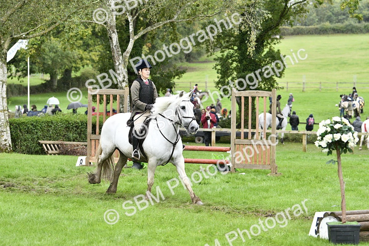 SBM_42274 - S32 - Mountain & Moorland Working Hunter Pony