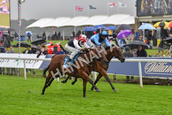 140723-Race 6-Copper Knight-8358 - Race 6 4.55pm Irish Thoroughbred Marketing Handicap