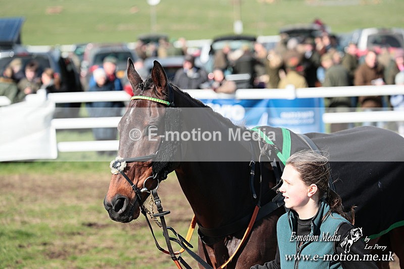 PtP 230324 635 - Tedworth Hunt PtP Larkhill Raccourse 23rd March 2024