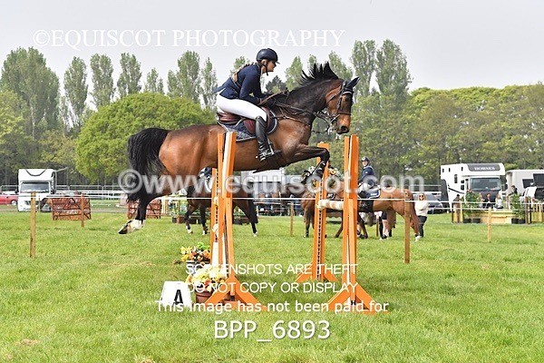 BPP_6893 - CLASS 3 RHS Fox Champ Qual (1.20m)