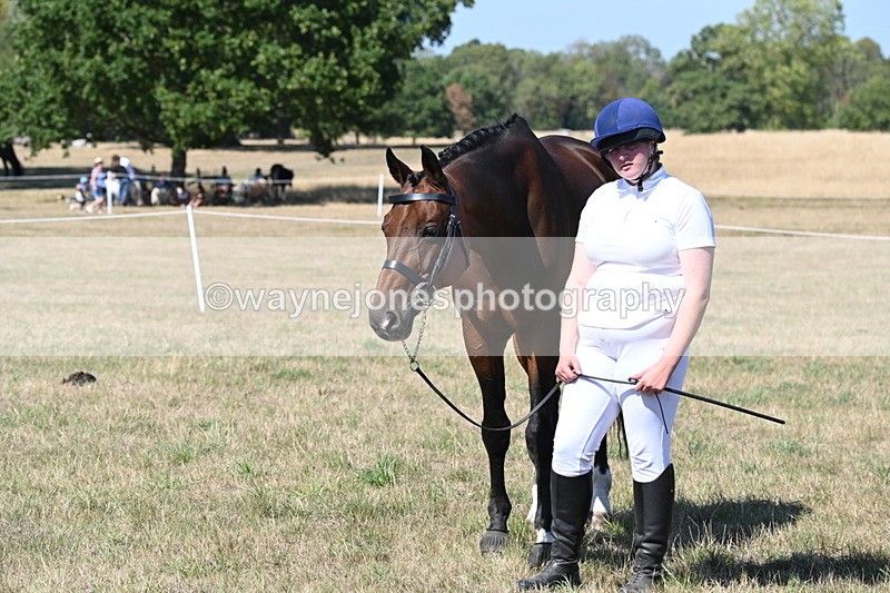 WJ6_9369 - Class 40 Cheekiest Pony/Horse