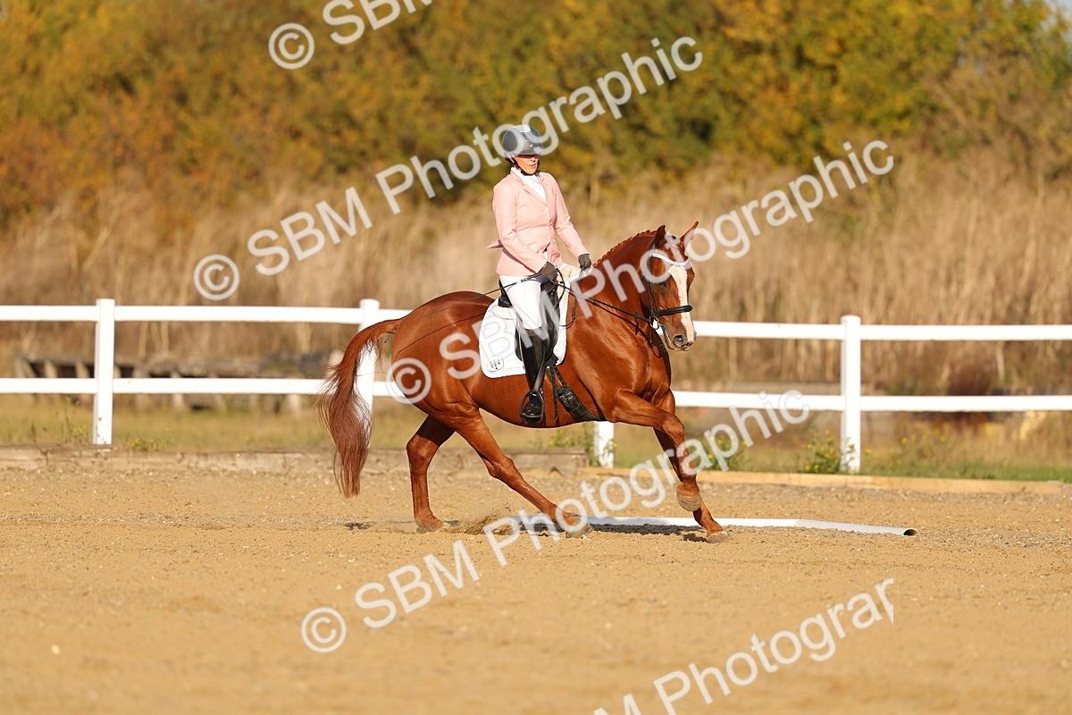SBM_008790 - Class 1 - P4