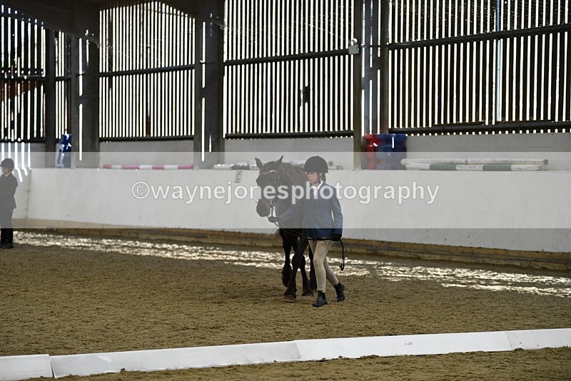 WJ5_4825 - Class 7 In hand coloured / odd coloured