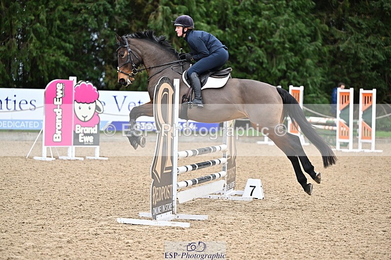 250201A-102050-00202 - Cls 01 Local Horse 90cm