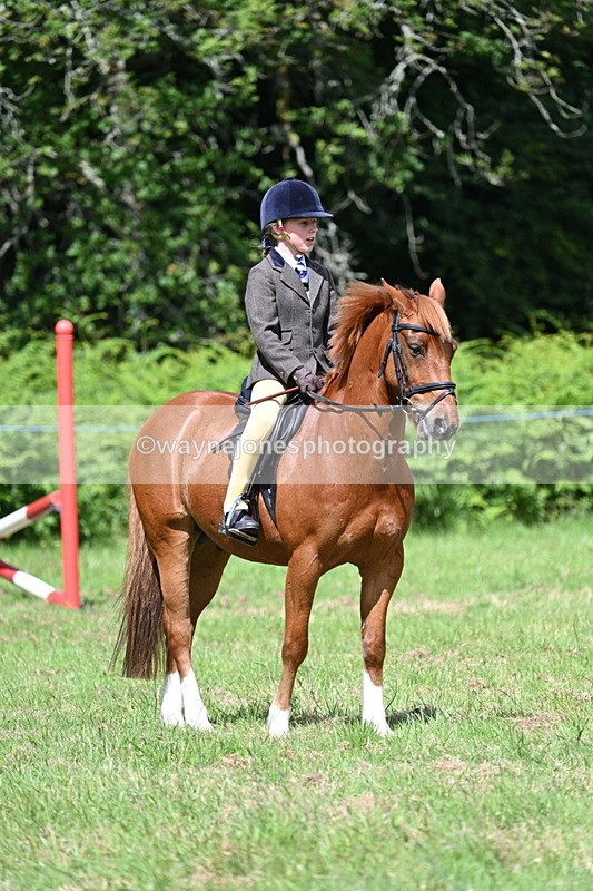 WJ7_1758 - Class 9 Pony Club Pony