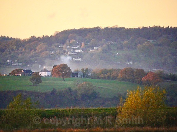 Forest of Dean, Glos From Slimbridge - LANDSCAPES & TREES