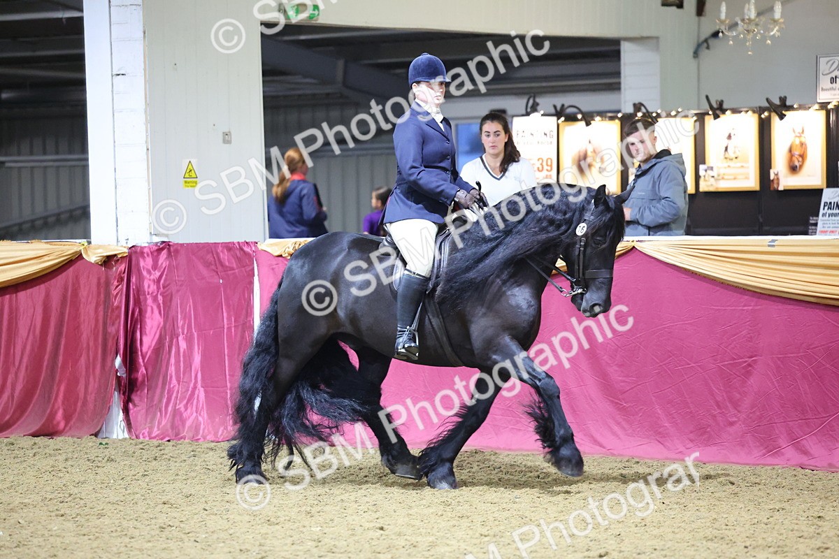 0B8A4384 - Class N M&M Champ