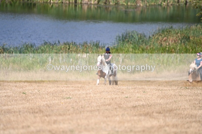 WJ6_9175 - Time 12:51 to 12:55