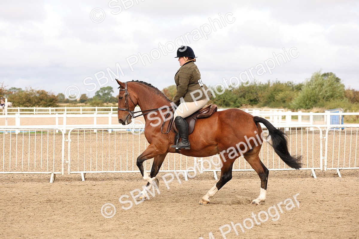 SBM_01601 - Class 52 - Ridden Veteran