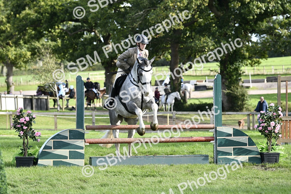SBM_52204 - S35 - Working Hunter & Working Show Horse
