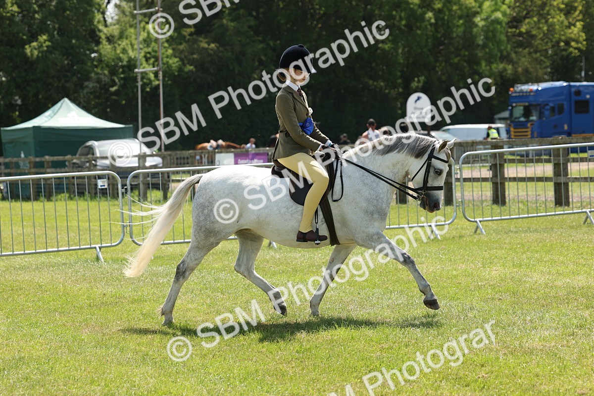 SBM_06785 - Class 26-30 - Mountain and Moorland Ridden