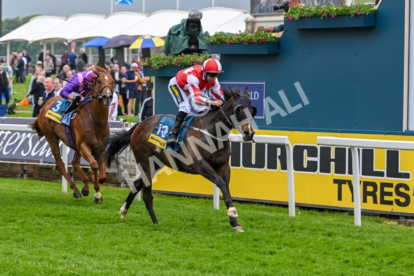 150524-Race 2-Aleezdancer-3845 - Race 2 2.45pm Churchill Tyres Handicap