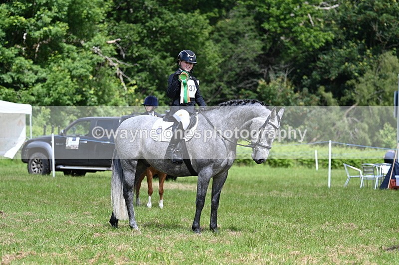 WJ7_1825 - Class 9 Pony Club Pony