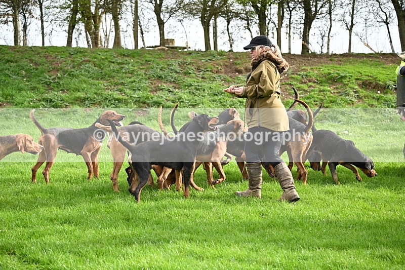 WJ6_9201 - Line Three