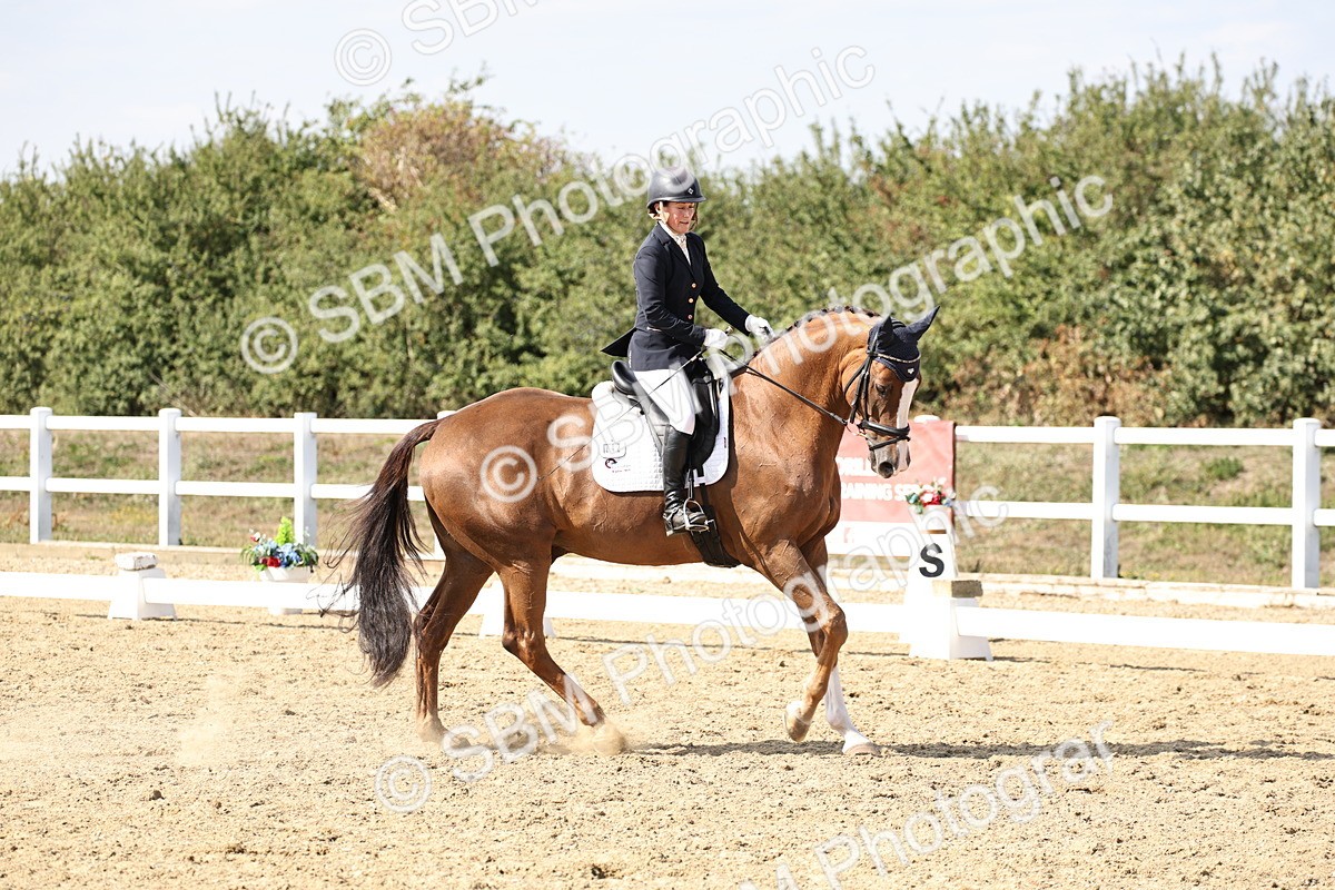 SBM_014942 - Class 7 - Medium 3