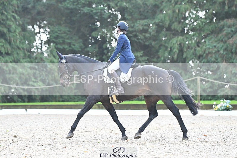 231019-120844-03020 - 112-REHY.HULABALOO-Millie.Rogers-DR