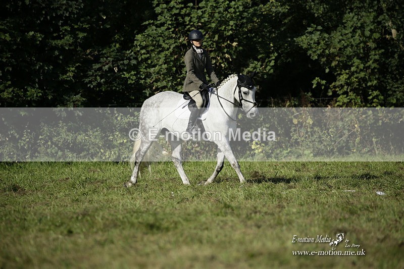 BVRC 120921 119 - Bourne Valley Riding Club UA Dressage & Show Jumping 12/09/21