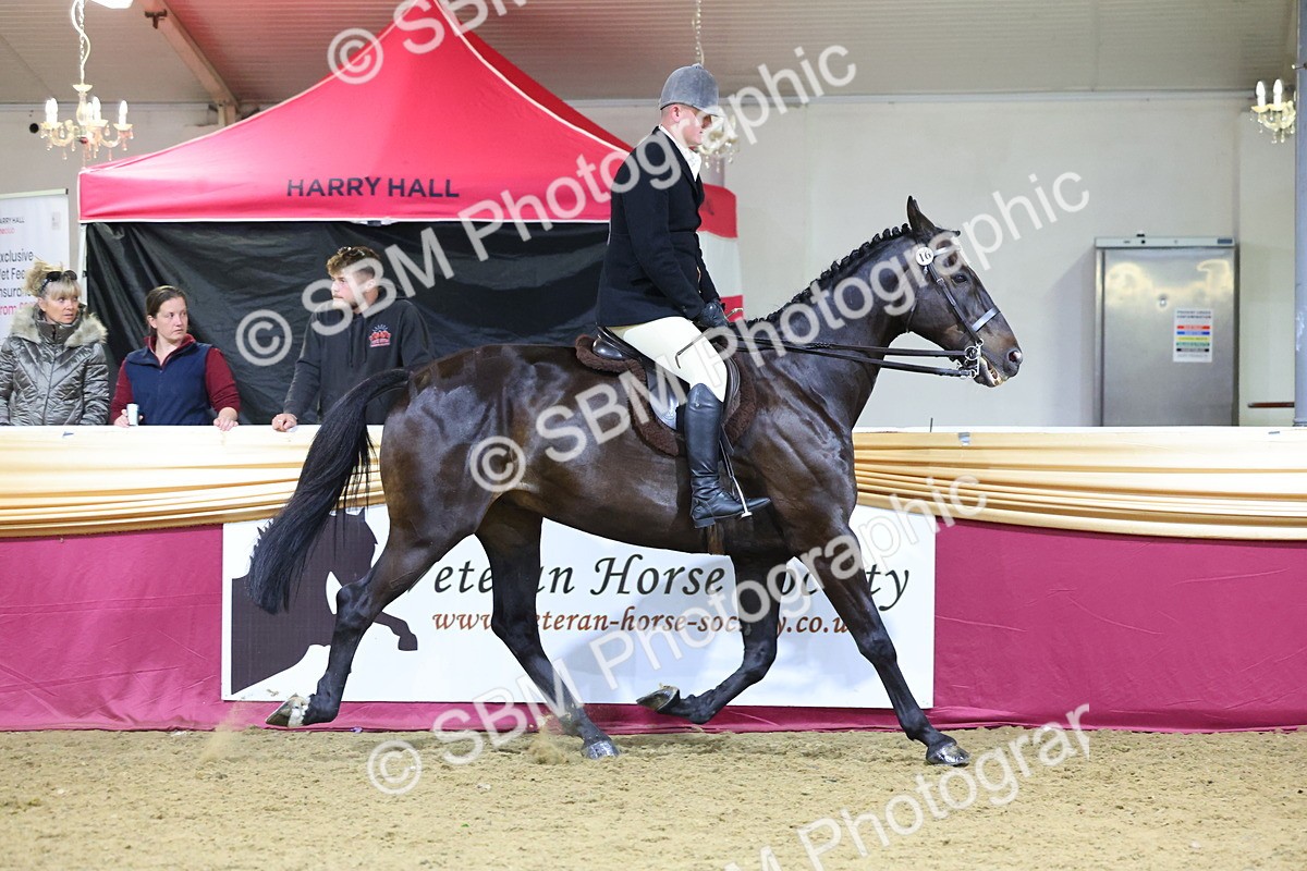 0B8A4468 - Class O Ridden Show Horse Champ