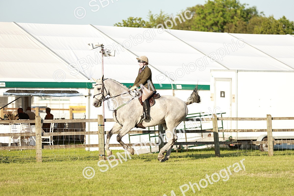SBM_20481 - Class 117-119 - Sport Horse Working Hunter