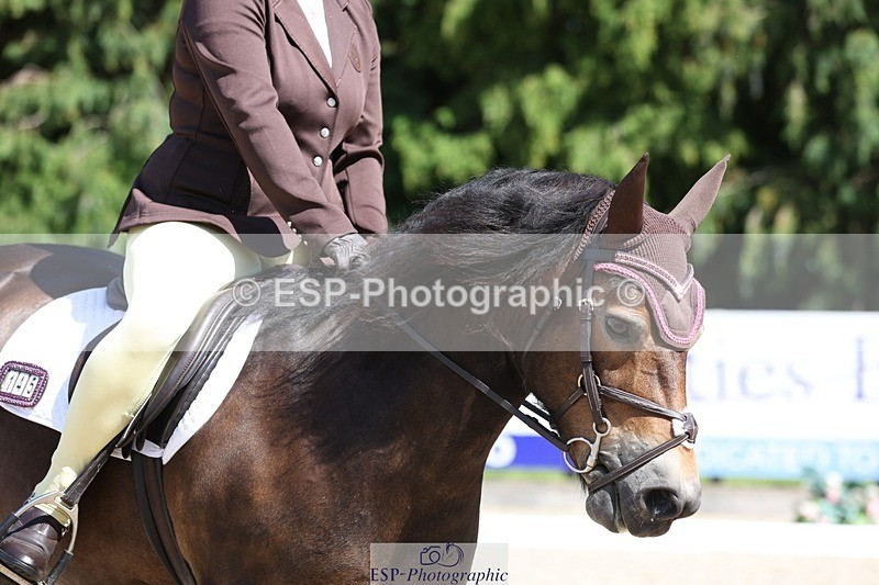 230811-144236-02079 - Cls 1 Prelim Bronze 13.30 to 14.50 break