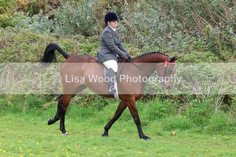 3E7A1736 - Class 9: Riding Club Horse/Pony