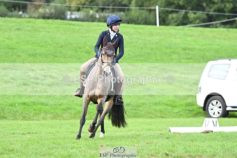 231020-161444-11641 - 558-BATHLEYHILLS.GOLDEN.SPRAY-Cleo.Whitbread-DR