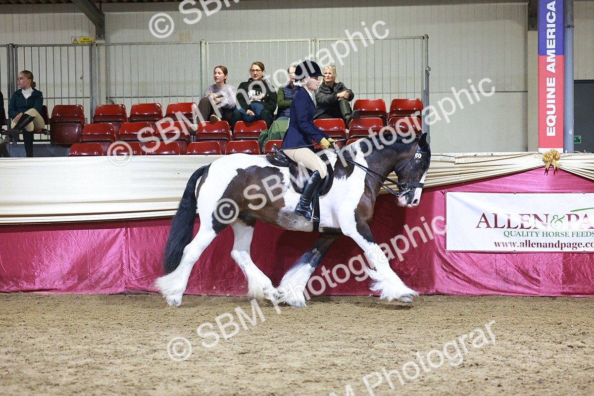 SBM_21150 - class Q - Ridden Horse Champ