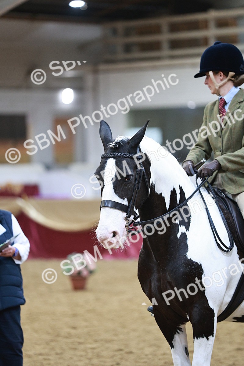 SBM_09102 - Class 12R - Regional Ridden Pre-Vet